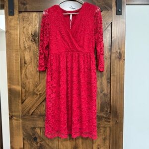 Pinkblush Maternity Scarlet Lace Dress